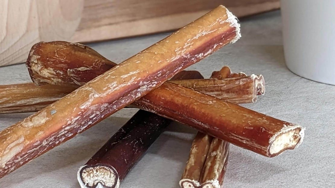 Bulls pizzles for dogs, all you need to know