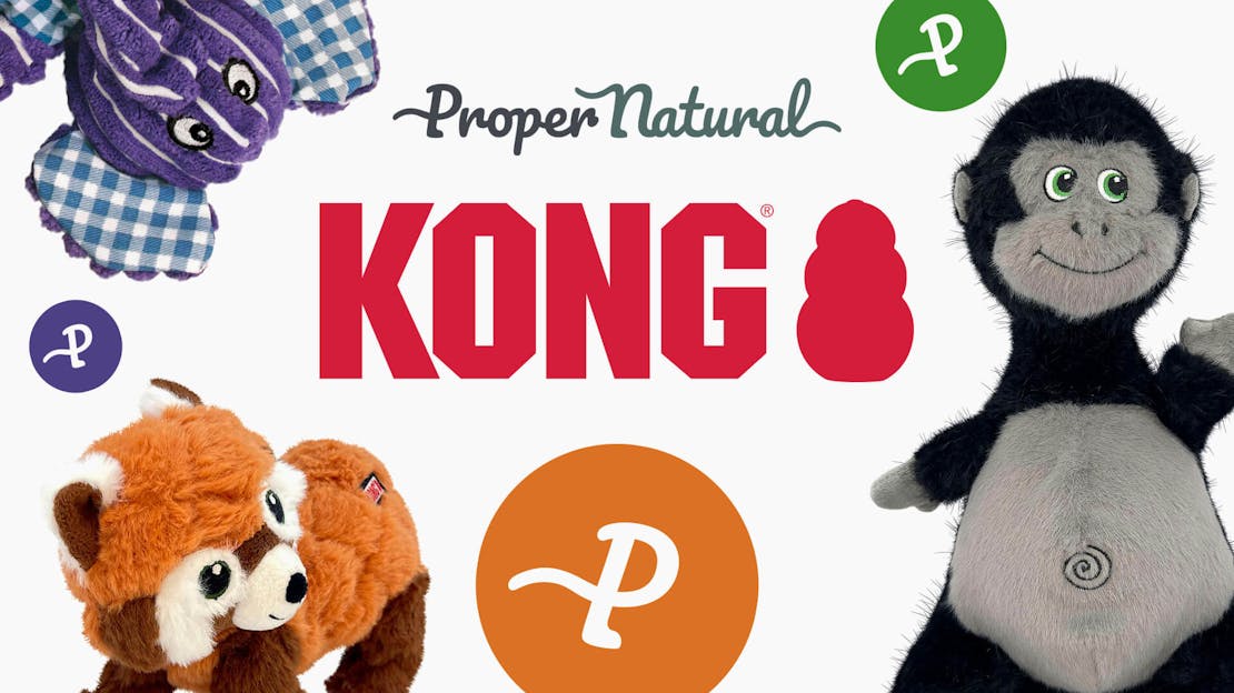 Latest KONG Additions for Autumn 2025 | Scampers, Knots Belly & More