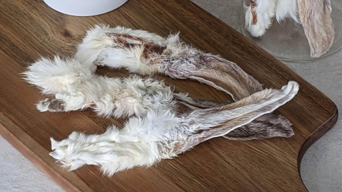 Furry Rabbit Ears for Dogs | What are the benefits?