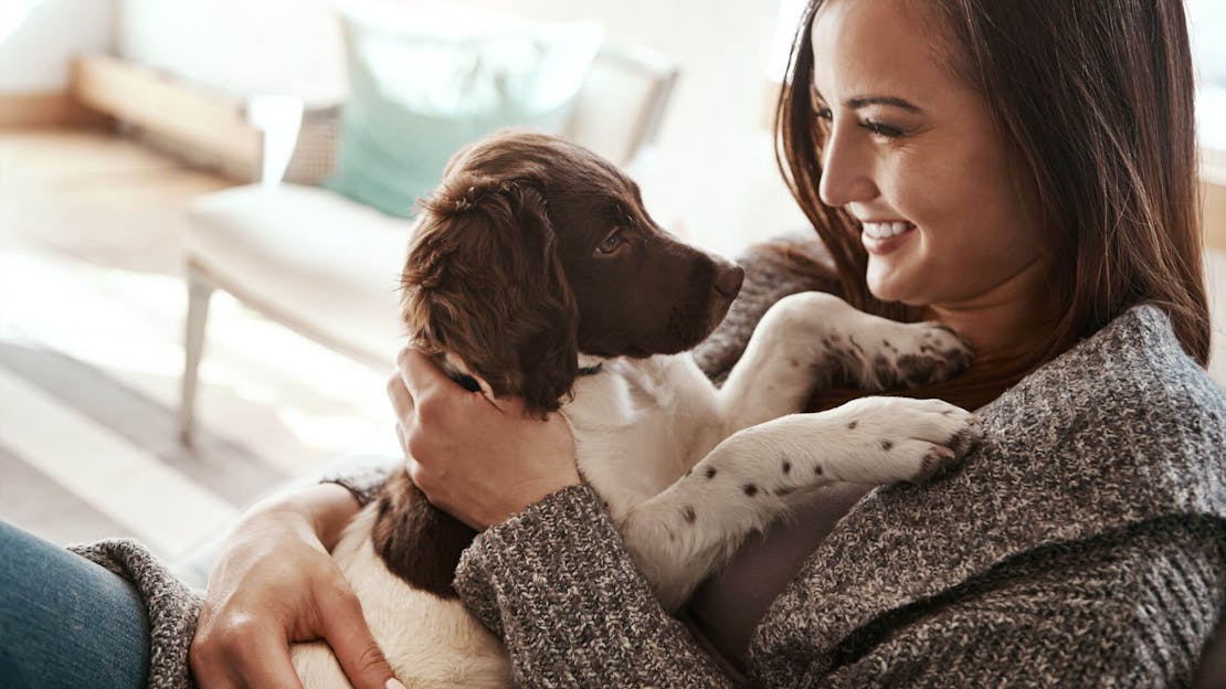 Bonding with your dog