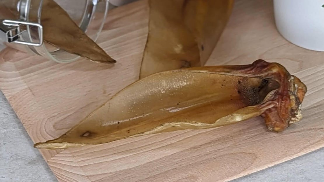 Are Buffalo Ears good for my dog?