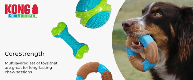 Buy KONG Treat Spiral Stick for your dog