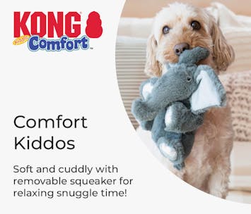 KONG Comfort Kiddos