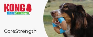 KONG CoreStrength