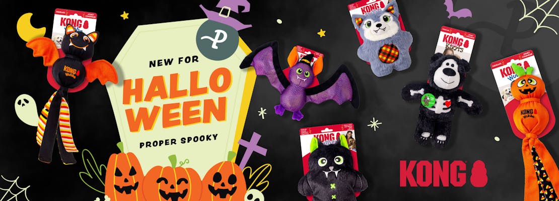 Kong Halloween 2025