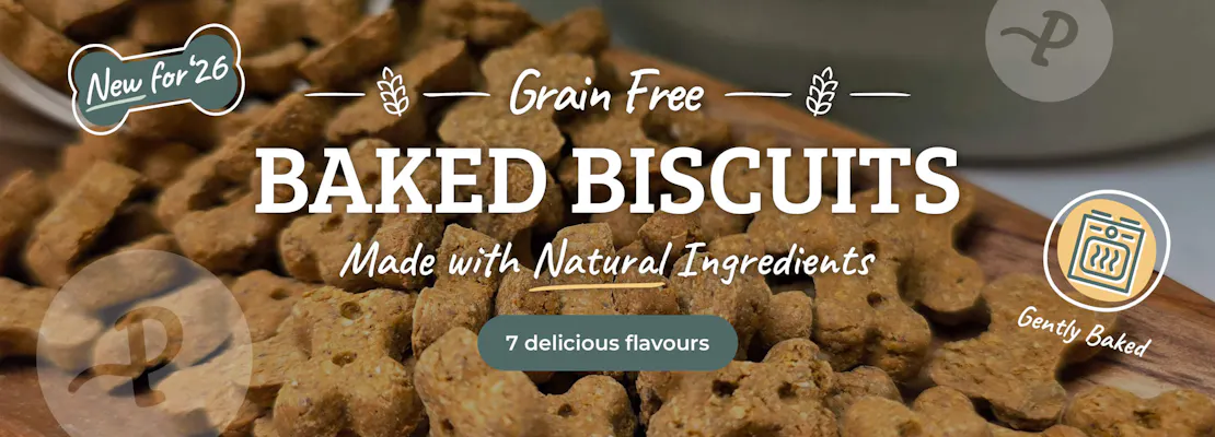 Baked Biscuits 2026