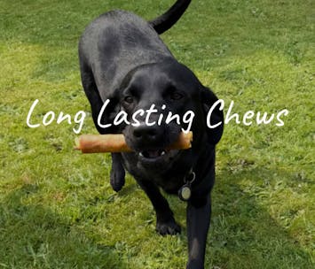 Long Lasting Chews