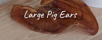 Large Pig Ears For Dogs