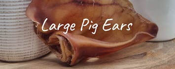 Large Pig Ears