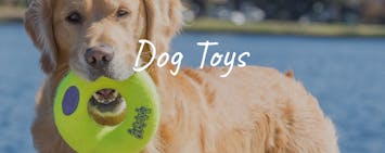 Dog Toys