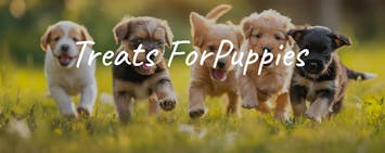 Treats For Pupplies
