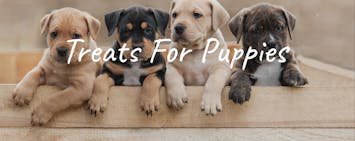 Treats For Pupplies