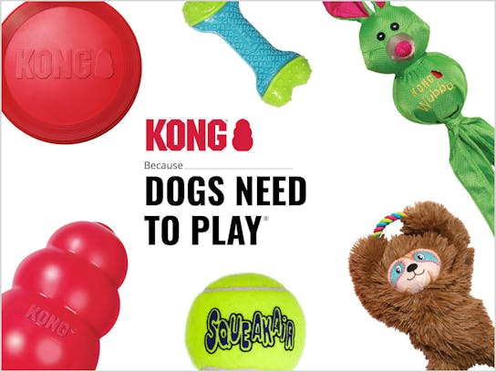KONG Toys - because dogs need to play