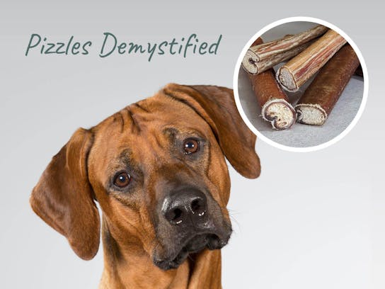 Pizzles. All you need to know!