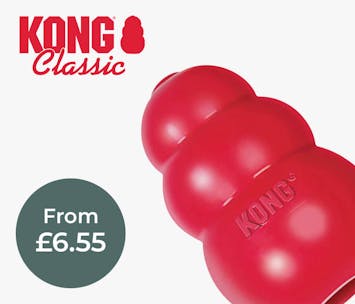 KONG Classic