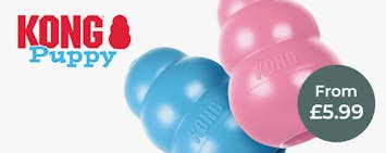 KONG Puppy