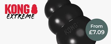 KONG Extreme
