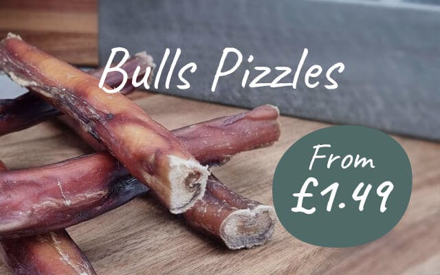 Bulls Pizzles for Dogs | 100% Natural Bully Sticks