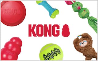 All KONG Toys