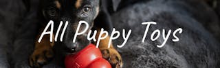 All Puppy Toys