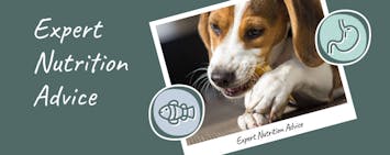 Expert Nutrition Advice