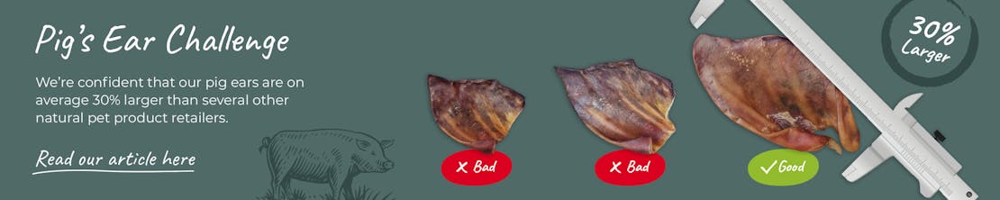 Pig's Ear Challenge