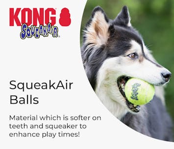 KONG SqueakAir Balls