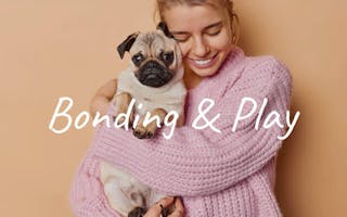 Dog bonding and play advice