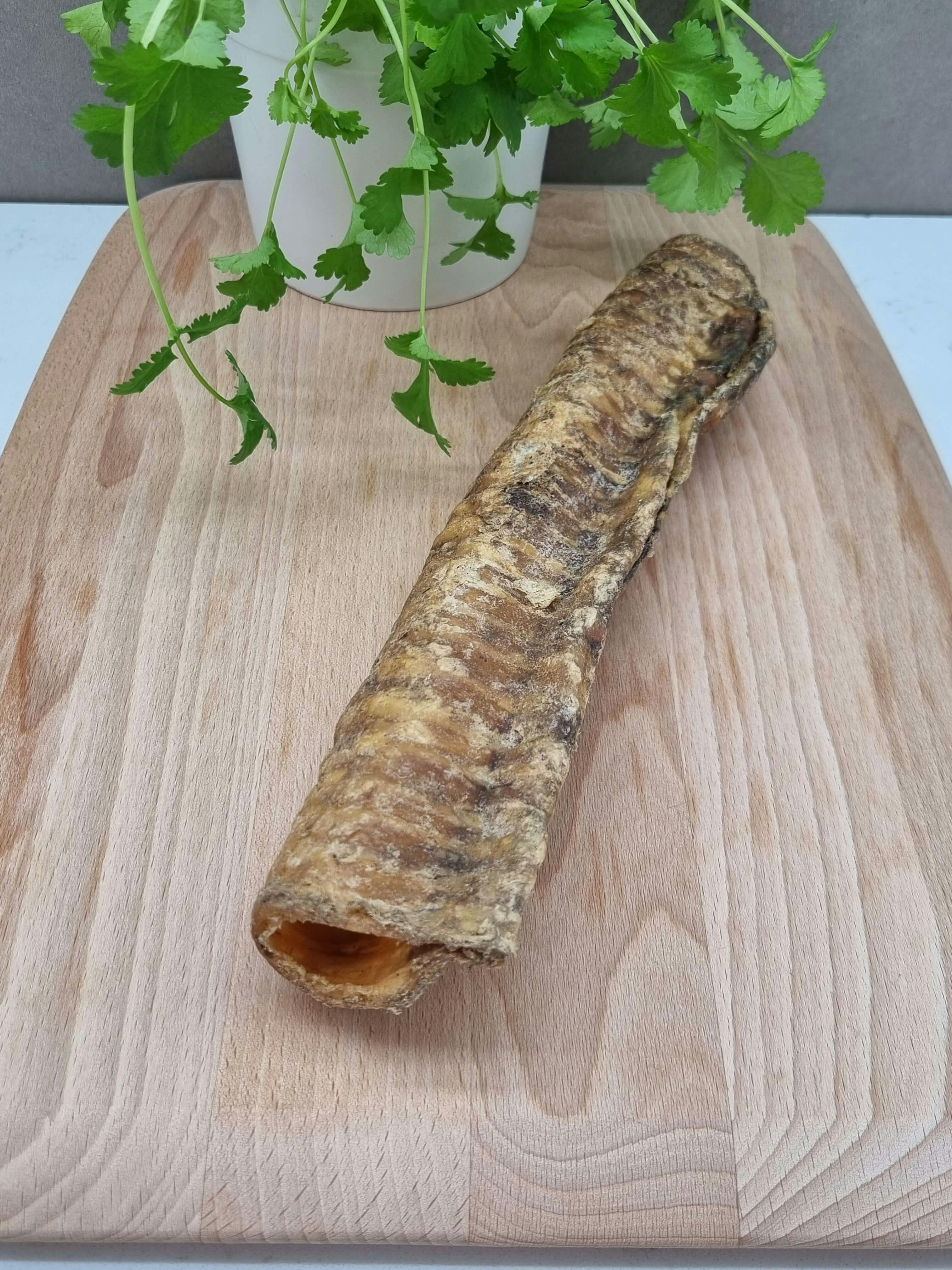 Dried beef trachea for dogs sale