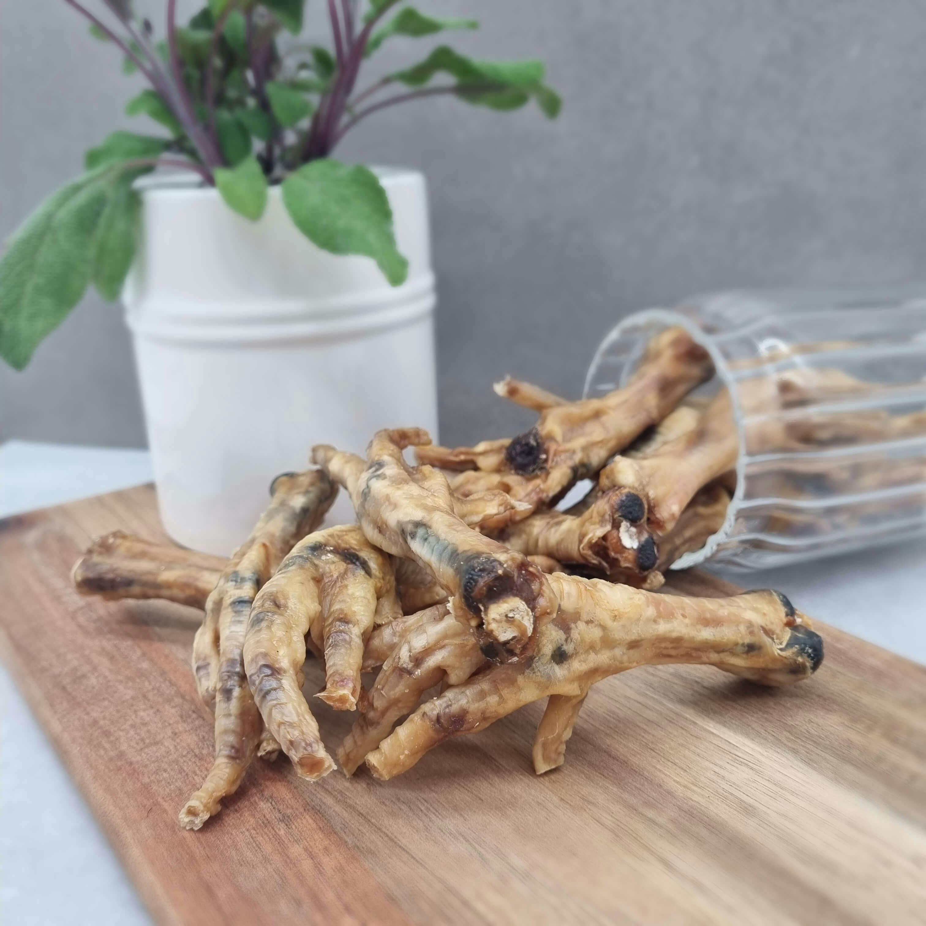 Chicken feet hotsell nutrition for dogs