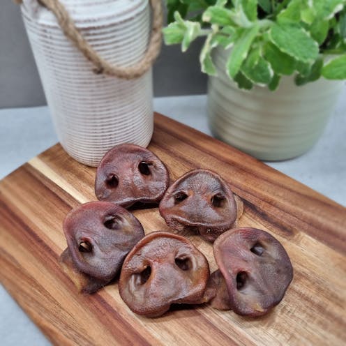 Pig Snouts