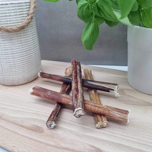 15cm Thin Bulls Pizzles