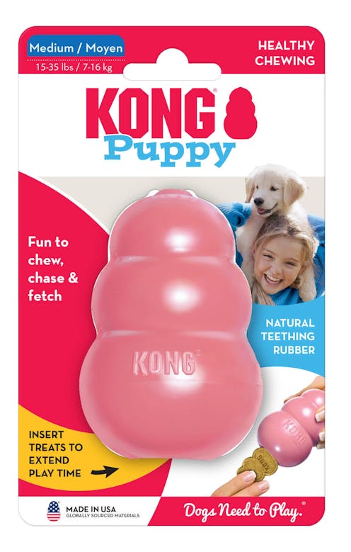 KONG Puppy