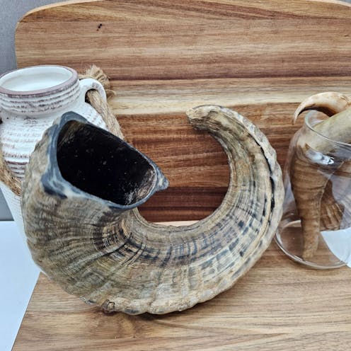 Lamb Horns
