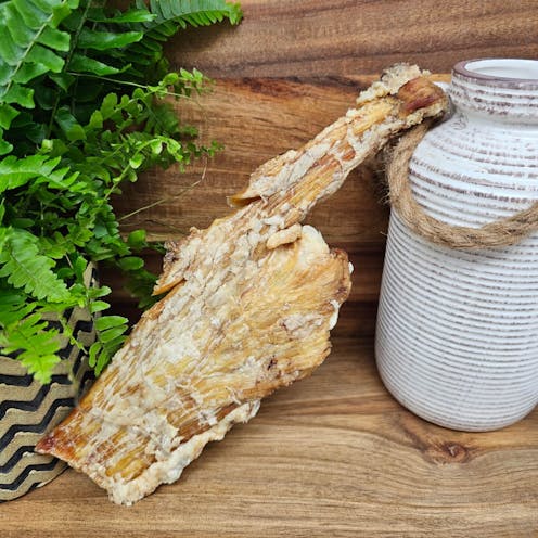 Medium Paddywack Strip