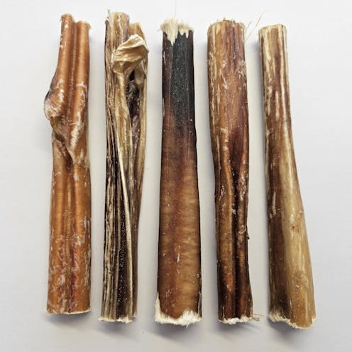 15cm Wonky Bulls Pizzles