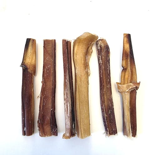 15cm Wonky Bulls Pizzles