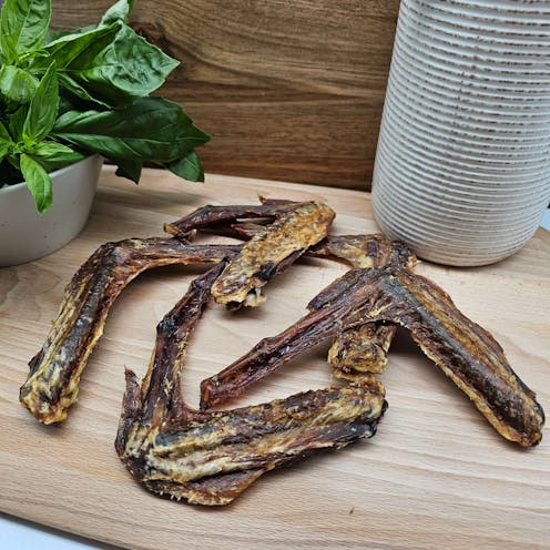 Duck Wings