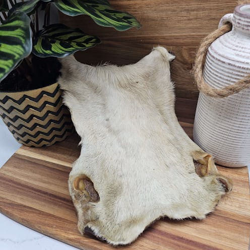 Beef Skin Plate