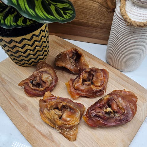 Large Inner Pig Ears