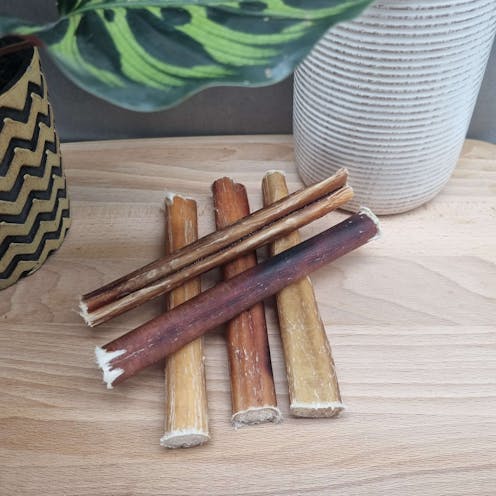 15cm Standard Bulls Pizzles