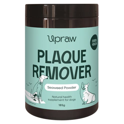 Upraw Plaque Remover