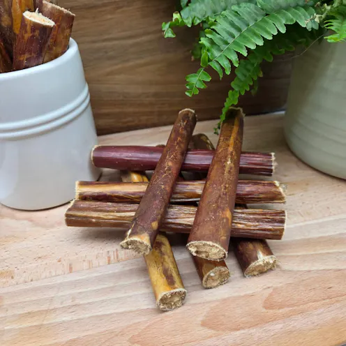 Collagen Filled Gullet