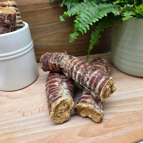 Collagen Filled Trachea