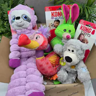 KONG Toy Mystery Box