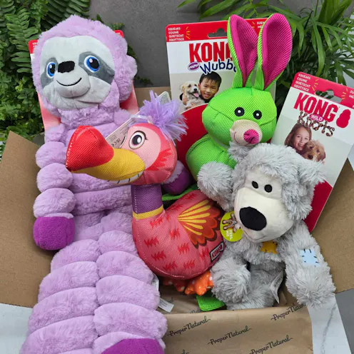KONG Toy Mystery Box