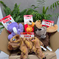 KONG Toy Mystery Box