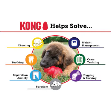 KONG Puppy Binkie Lollipop Rubber Toy – Distraction Chew For Small/Medium Puppies (Pink Or Blue)