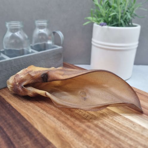 Cow ear