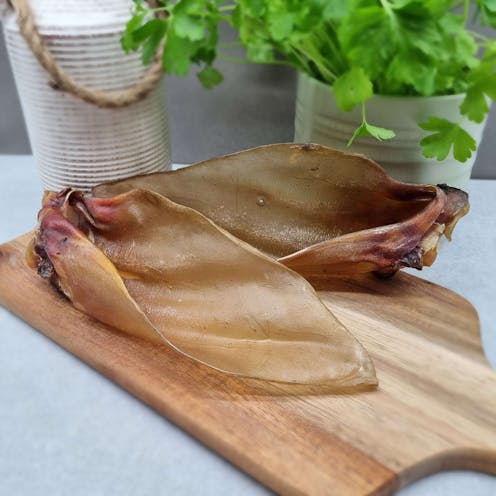 Large Buffalo Ears